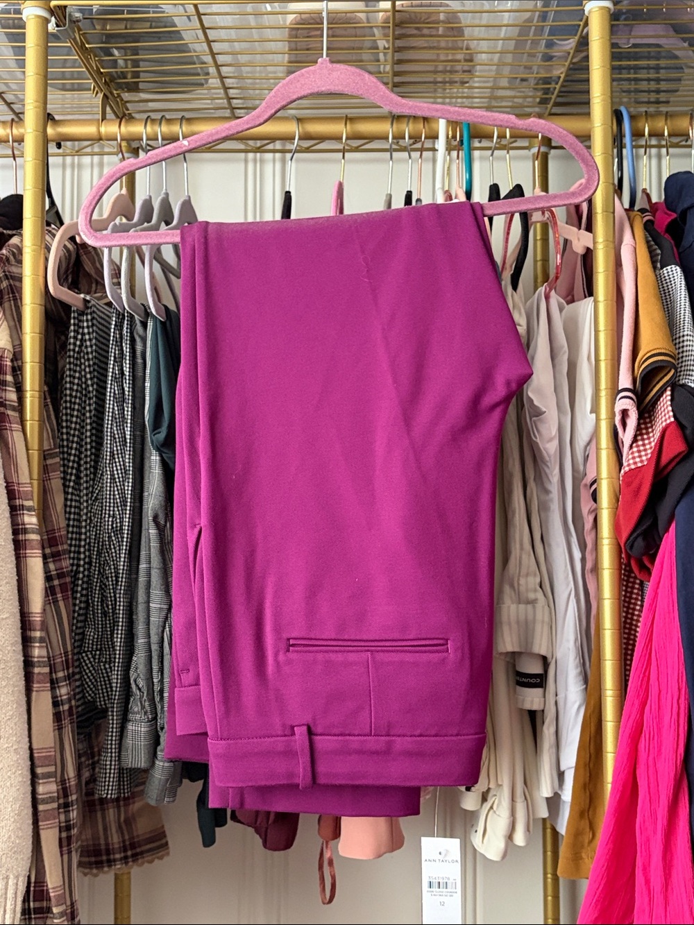 Ann Taylor Fuchsia Tailored Trousers